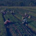 Derechos Humanos