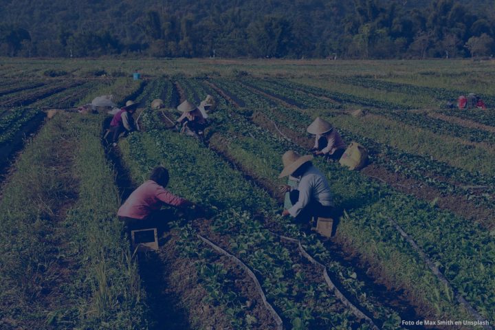 Derechos Humanos